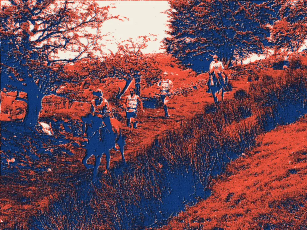 Coureurs et cavaliers de Man versus Horse près d'Abergwesyn (2014).