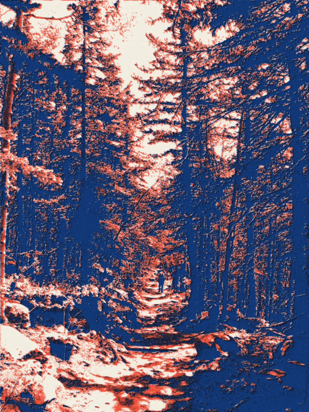 Le Barr Trail, le sentier du Pikes Peak Marathon, en 2007